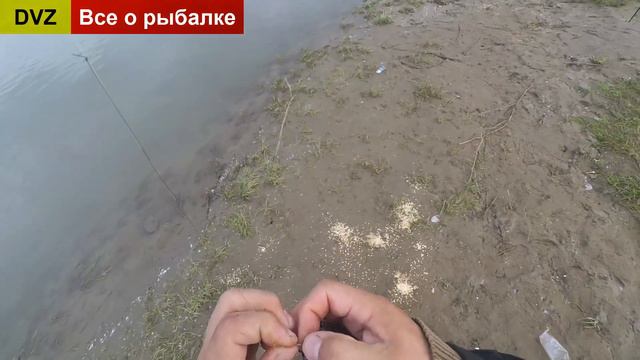 Рыбалка на опарыш [ @ 2021 ] смотреть онлайн