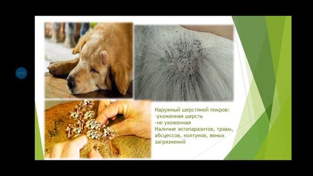 Первичный осмотр пациента
