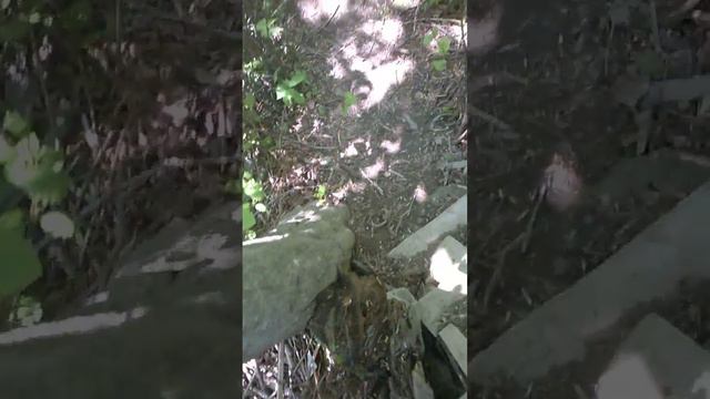 моя дача смотреть онлайн