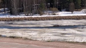Весна в Импилахти ☀️