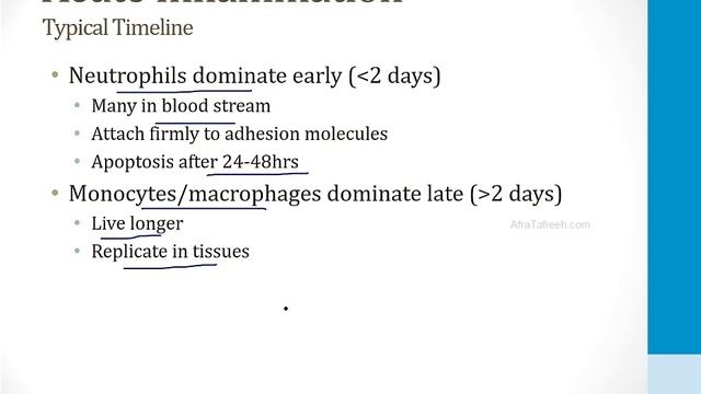 Патология USMLE - 1. Общие темы - 7.Острое и хроническое воспаление