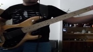 Rage Against The Machine - Bulls on Parade (Bass Cover)