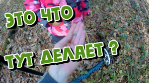 Поиск с металлоискателем и сбор грибов в лесу! Коп 2022