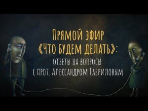 Прямой эфир «Что будем делать?» Ответы на вопросы с прот. Александром Гавриловым