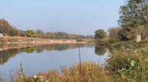 РЫБАЛКА В КОРЕЕ . СКОЛЬКО Я ПОЙМАЛ ЗА 5 часов // ЖИЗНЬ В КОРЕЕ // ВЛОГ