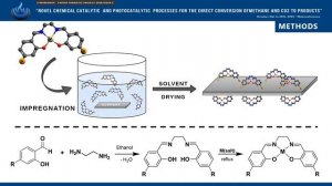 From single-atom to supported nanoparticles catalysts for CH4 and CO2 conversion