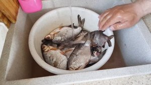 ЗАСОЛКА ГУСТЕРЫ ( в соляном растворе, в рассоле )