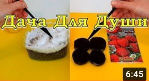 ЛУЧШИЕ способы посева КЛУБНИКИ!???
