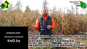 Цемент как удобрение. Как использовать ЦЕМЕНТ для огорода. Дешево и с пользой. подкормка цементом.