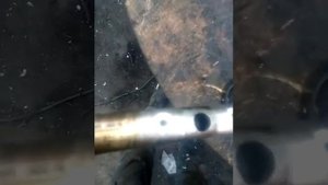 Газель умз 4215 низкое давление масла на горячую