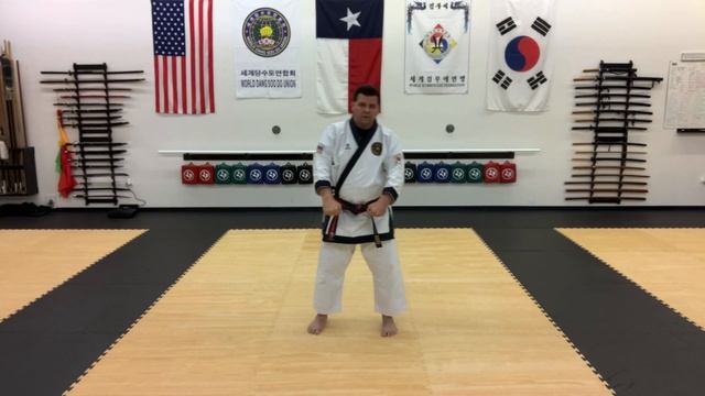 One Step Sparring 1 & 2 for Tang Soo Do / Soo Bahk Do смотреть онлайн