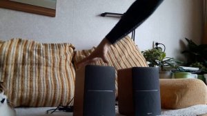 Распаковка полочной акустики Edifier R1280T