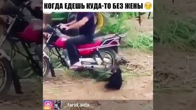 Когда едешь куда-то без жены