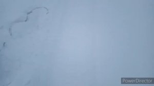 Дешёвый снегоход МОТОСОБАКА своими руками испытания по глубокому снегу замер скорости, новое рулево