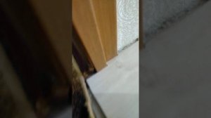 как подойти ламинат к двери