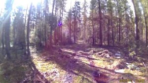 22wmr  отстрел на проверку  различий стп пуль  2,6   и  2,9