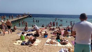 Il Mercato 5*.Обзор пляжа. Palm Beach. Египет. Шарм эль Шейх. Ноябрь 2021.