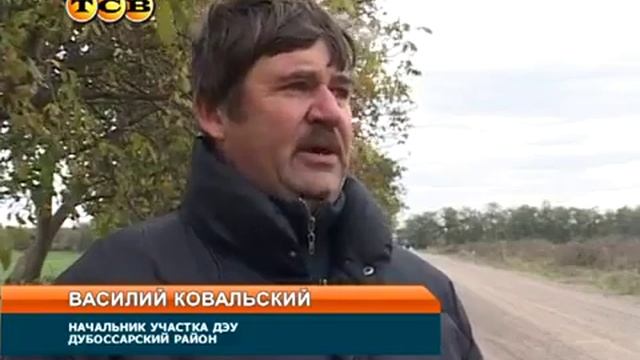 Сухостой. смотреть онлайн