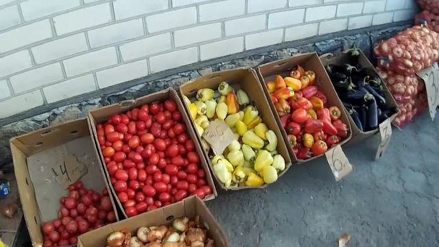 Заторы на тротуарах Геническа,или как быть, когда вокруг одни свиньи? смотреть онлайн