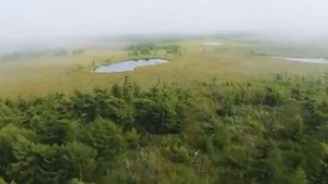 Песня про сахалин.  Автор песни @vladimirkurskij Спасибо этому человеку за Красивый голос