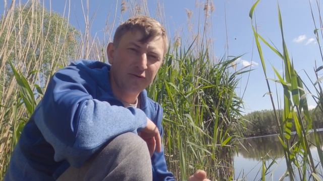 РЫБАЛКА НА ХЛЕБ? Ловля карася весной! Наловил карасей и поймал карпа!
