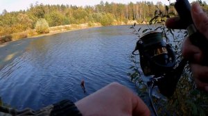 КАК ЛЕГКО ПОЙМАТЬ ОКУНЯ НА СПИННИНГ!!!Стоянки окуня на озере.