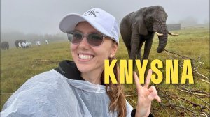 ЮЖНАЯ АФРИКА: Knysna. Где отдыхают богатые местные. Самые лучшие парки и пляжи ЮАР