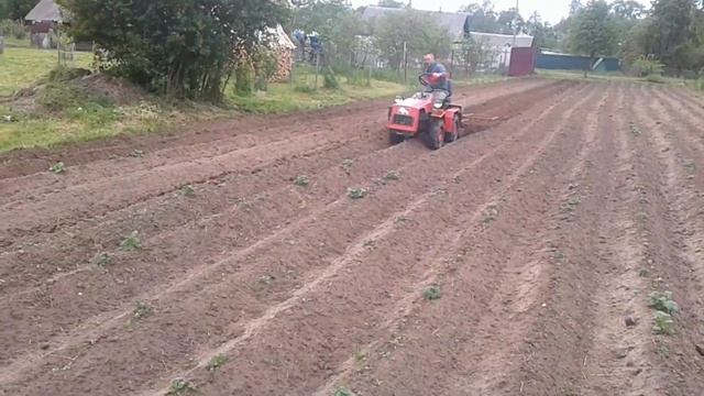 МТЗ 132Н Первое окучивание смотреть онлайн