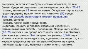 Ондатра: выращивание, разведение, выделка шкурок, покраска, продажа