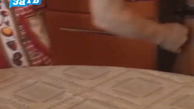 Фруктово - ягодный десерт за 1 минуту смотреть онлайн