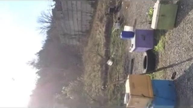 заказать пчелиный подмор c личной пасек смотреть онлайн