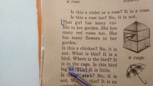 АНГЛИЙСКИЙ ДЛЯ НАЧИНАЮЩИХ | АНГЛИЙСКИЙ С НУЛЯ | ВАЛЕНТИНА СКУЛЬТЭ | ЧАСТЬ 1, УРОК 15