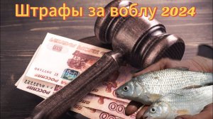 Нерестовый запрет, размеры штрафов за ловлю воблы, плотвы. Ответы на вопросы.