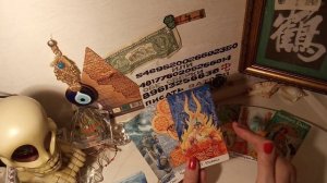 Как живут голубки?