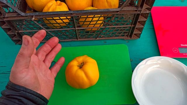 Айва "Мария". Снял плоды. Дегустация. смотреть онлайн