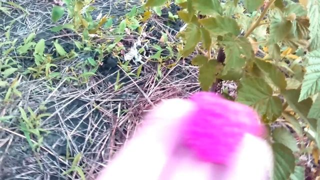 Малина Таруса смотреть онлайн