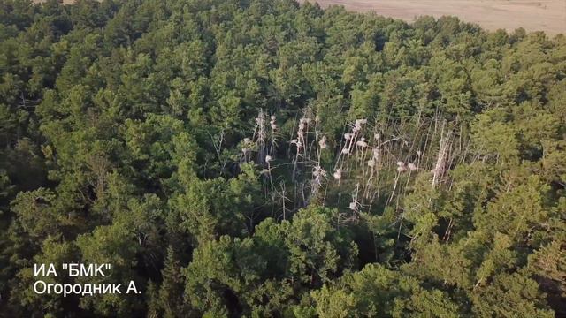 Кокоринский заказник в Иволгинском районе Бурятии