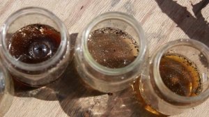 Окрашивание ткани натуральными красителями: Лишайник Пармелия / Natural dyes: Parmelia Lichen