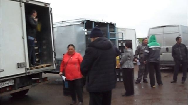 холмогорские гуси племптицезавод благоварский