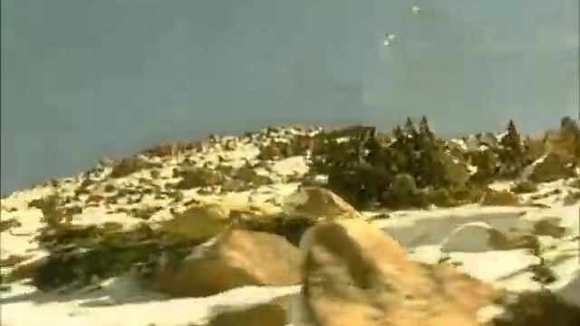 AMERICA THE BEAUTIFUL - Diane Bish смотреть онлайн