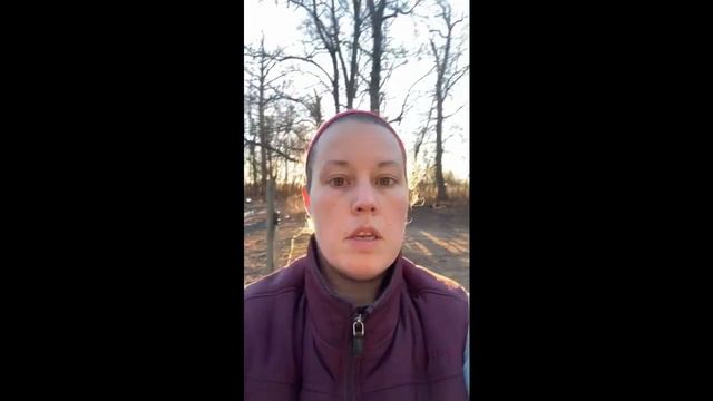 Extreme Snow Storms & Keeping Our Chickens Safe In Minus 15 Degree White Out Conditions смотреть онлайн