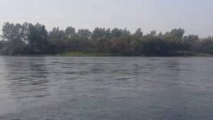 Испытания Wellboat 37 + Tohatsu 18