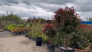 Новый садовый центр в Краснодаре!