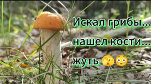 Грибалище в Агалатово