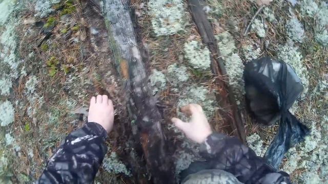 За белыми грибами 2016 смотреть онлайн