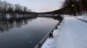 Фили, Филевская набережная, домик Моржей / Пешком вдоль берега реки-Москвы #12