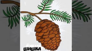 Тест "Лурия"