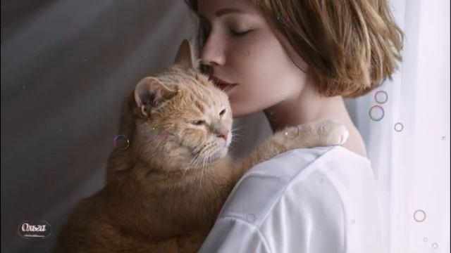 « Разговор по душам ...» смотреть онлайн