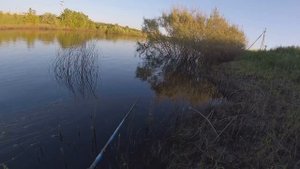 Ловля хищника на спиннинг в середине лета на малой реке.