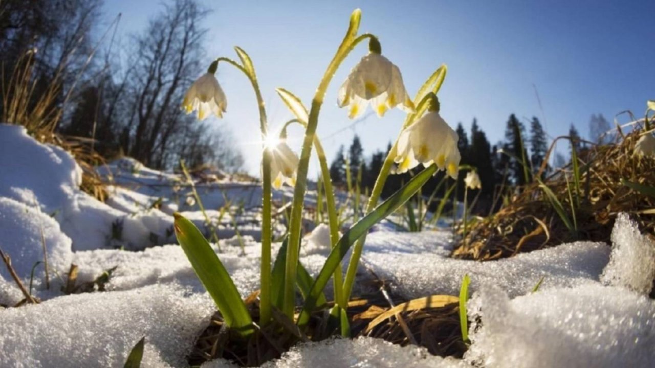 ПРОБУЖДЕНИЕ ВЕСНЫ… Музыка Эдгара Туниянца // AWAKENING OF SPRING… Music by Edgar Tuniyants